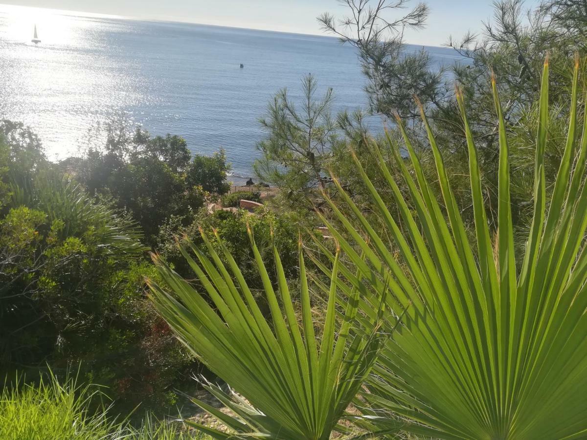 Appartement Cabo Roig Bellavista III Extérieur photo
